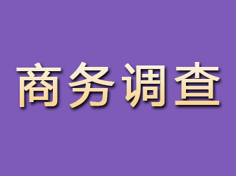 椒江商务调查